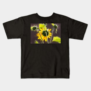 Looking Up To the Sunflowers by Debra Martz Kids T-Shirt